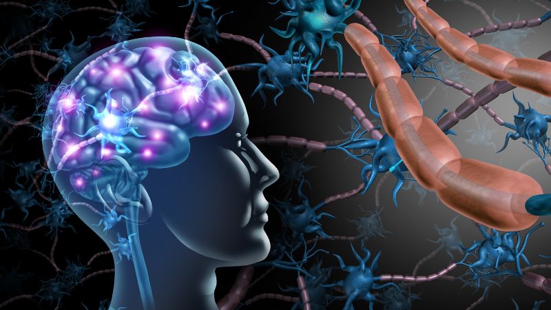 EEG Biofeedback Zabrze, Neurofeedback Zabrze, Trening EEG Biofeedback Zabrze, Terapia EEG Biofeedback Zabrze, Trening neurofeedback Zabrze, biofeedback dla dzieci Zabrze, terapia neurofeedback Zabrze, neurofeedback dla dzieci Zabrze, trening mózgu dla dzieci Zabrze